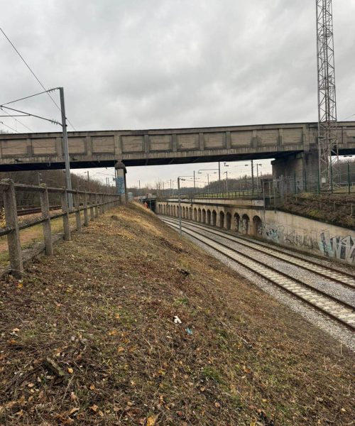 PHOTO-2024-12-09-16-00-24 2