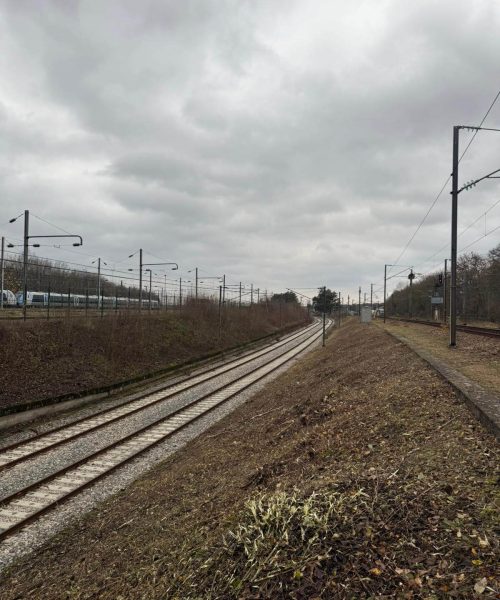 PHOTO-2024-12-09-16-00-24