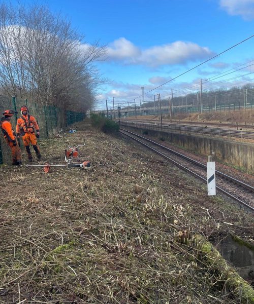 PHOTO-2025-01-09-20-48-15