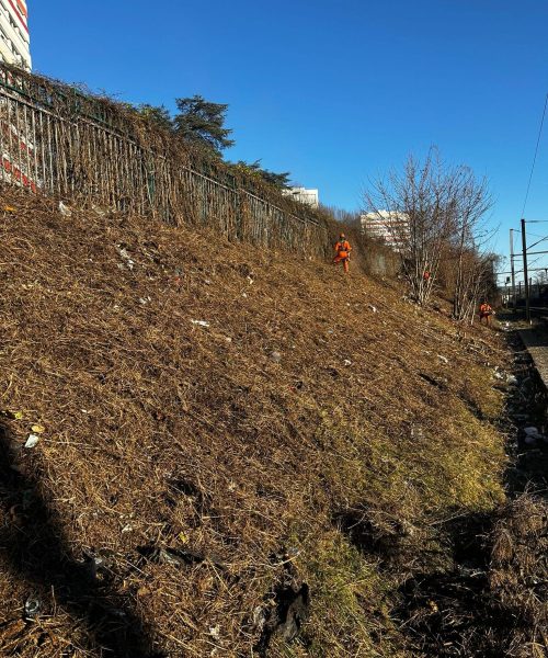 PHOTO-2025-01-13-17-04-10