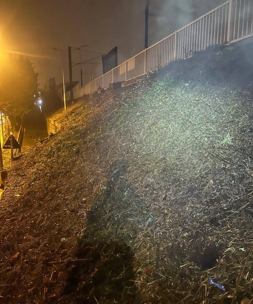 PHOTO-2025-01-16-08-08-19 2