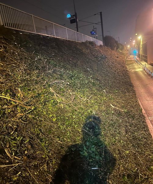 PHOTO-2025-01-16-08-08-19