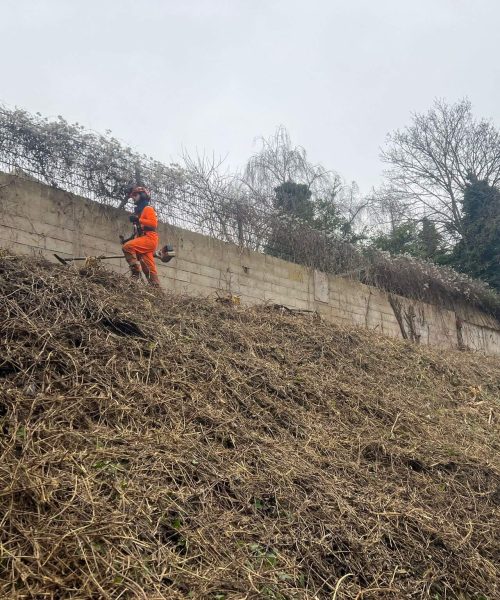 PHOTO-2025-01-16-16-07-37