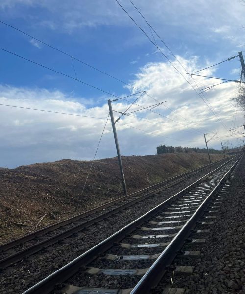 PHOTO-2025-01-27-16-44-31