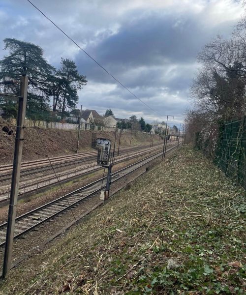 PHOTO-2025-01-30-19-04-02