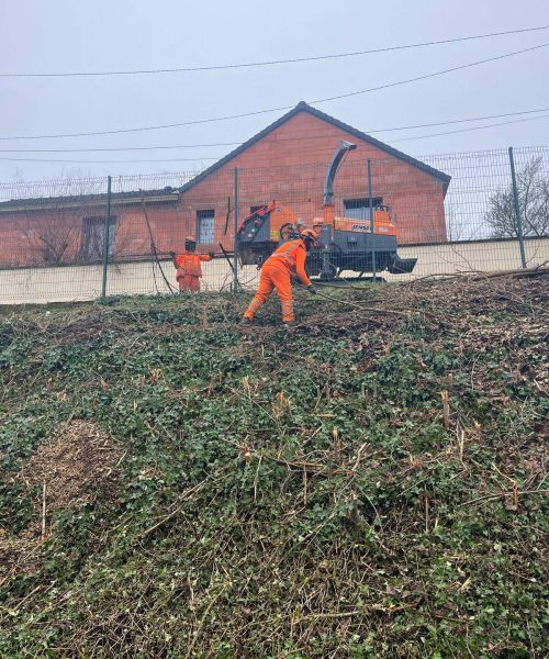 PHOTO-2025-02-05-18-34-34