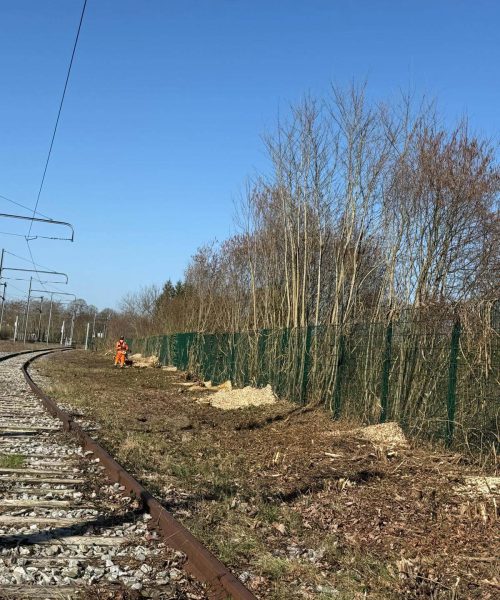 PHOTO-2026-02-25-19-51-04