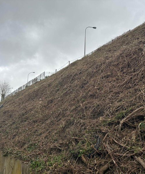 PHOTO-2026-03-16-17-15-45