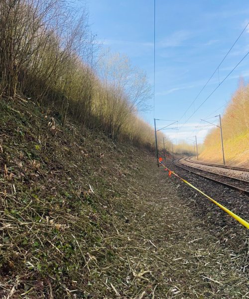 PHOTO-2026-03-17-18-26-13 2